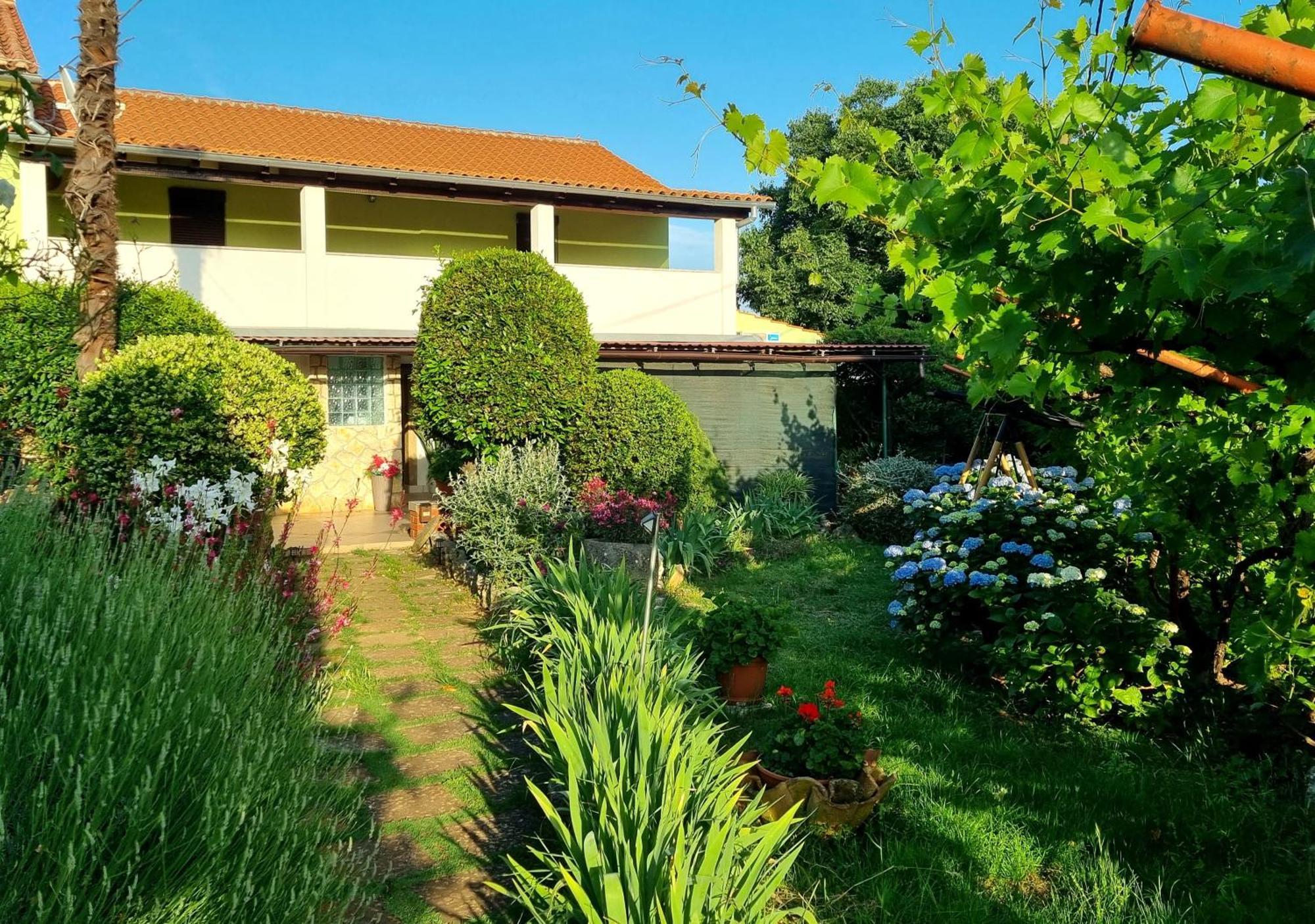 Skrbčići Studio Apartment Lino מראה חיצוני תמונה